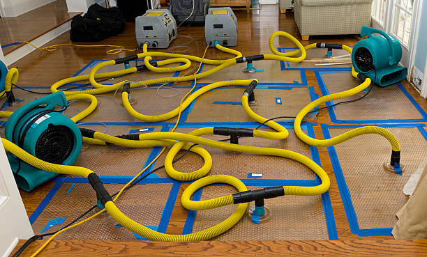 Professional Sewage Cleanup technician working in Upland, CA